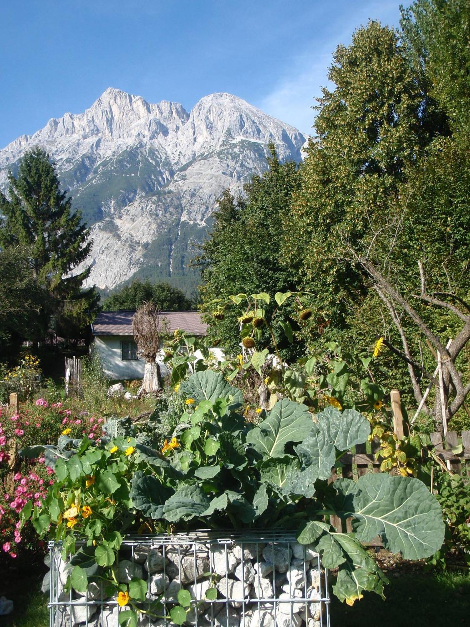 Bed and Breakfast Telfer Stubm Telfs Esterno foto
