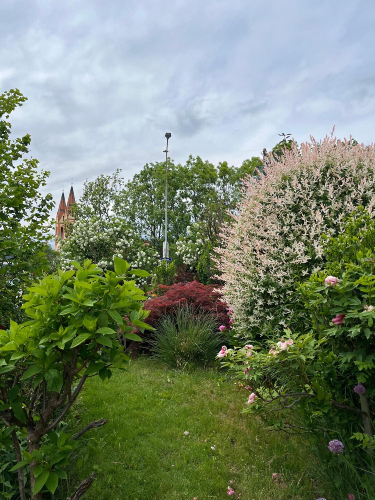 Bed and Breakfast Telfer Stubm Telfs Esterno foto